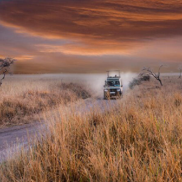 6 DAYS TANZANIA BUDGET SAFARI